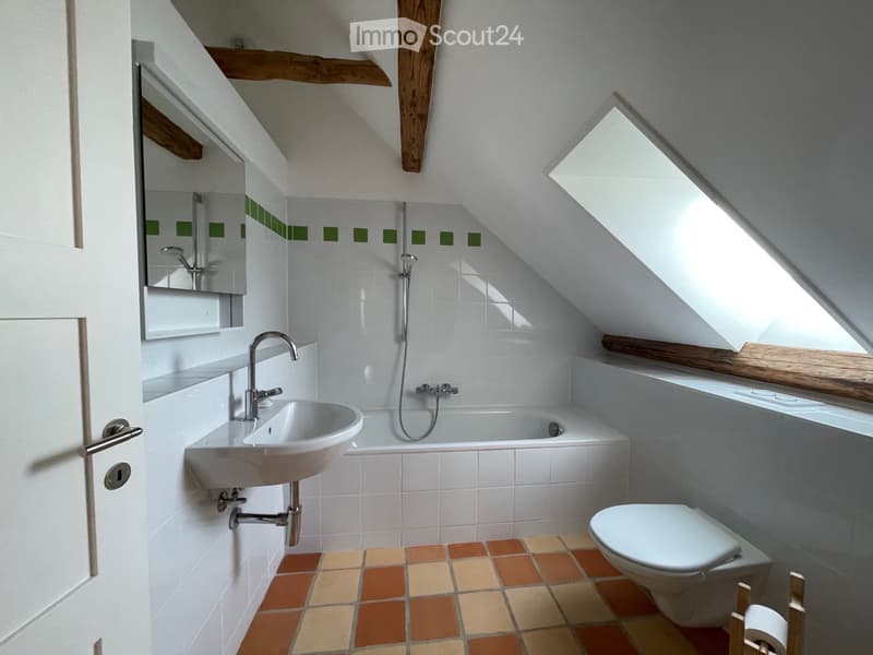 Beau loft dans maison ancienne (4)