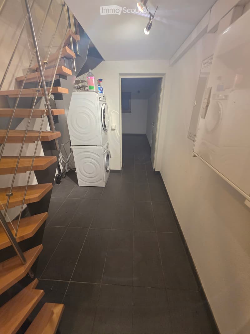 Appartement de 4 pièces à Plan-les-Ouates (4)