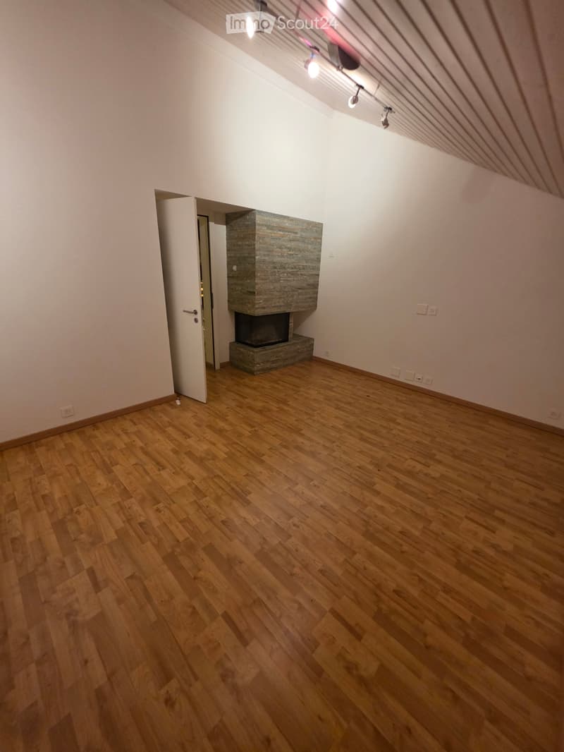 Appartement de 4 pièces à Plan-les-Ouates (3)
