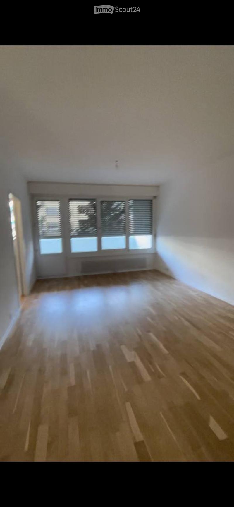 Bel appartement rénové de 5,5 pièces - Servette (3)