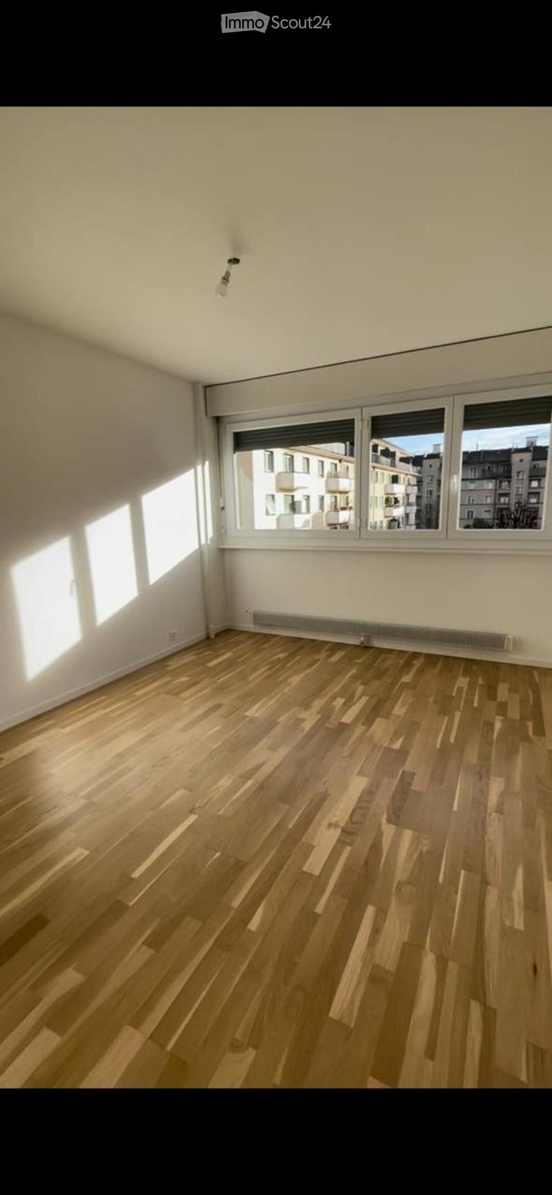Bel appartement rénové de 5,5 pièces - Servette (5)
