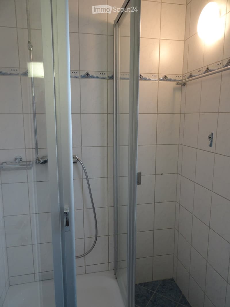 A louer appartement 3 1/2 pces (2)