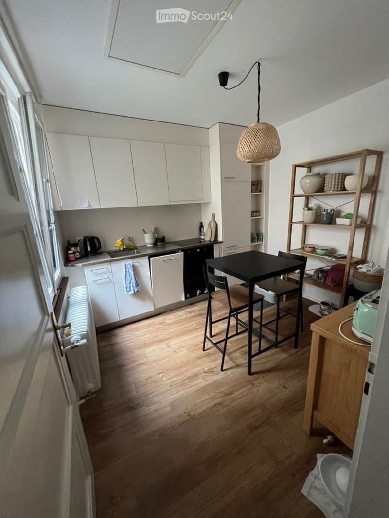 Bel appartement de 2 pièces rue de Morat - Fribourg (4)