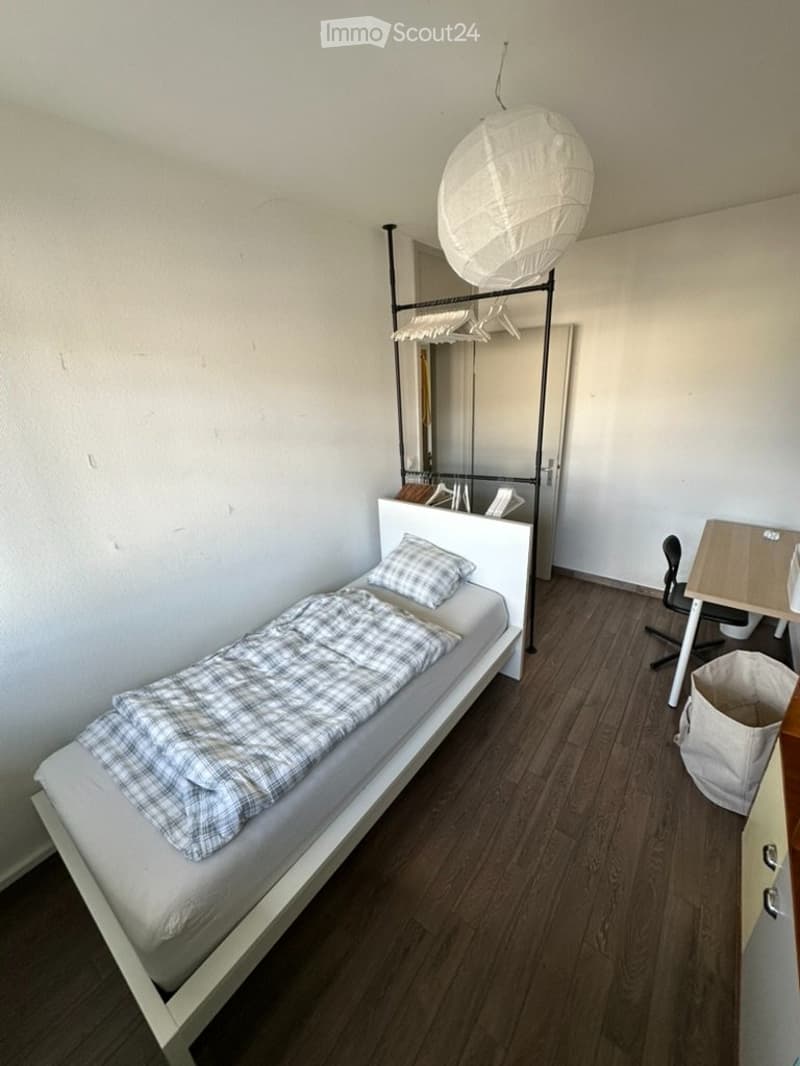 Lease takeover in Plainpalais from 1 December: 3 bedrooms (4)