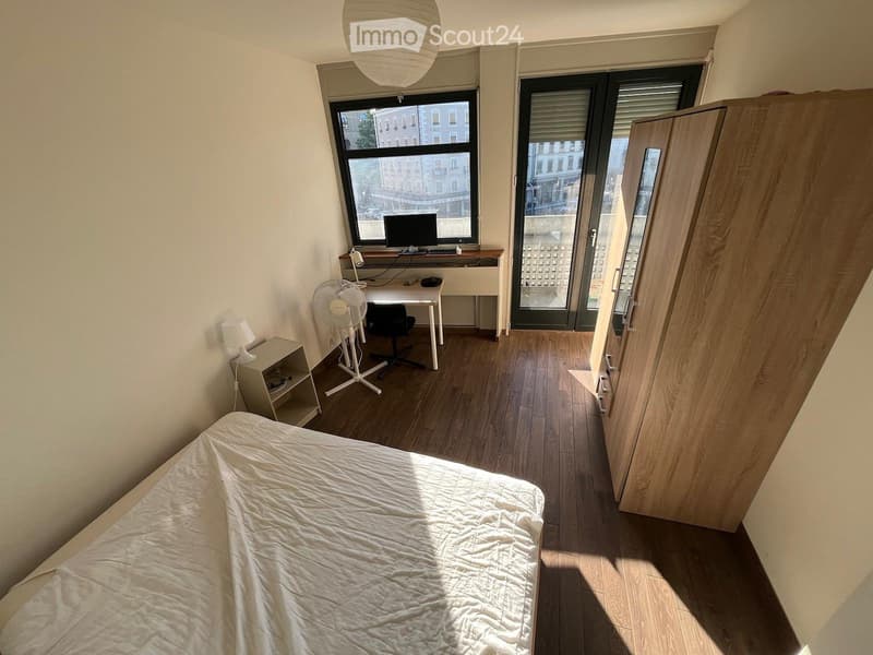 Lease takeover in Plainpalais from 1 December: 3 bedrooms (5)
