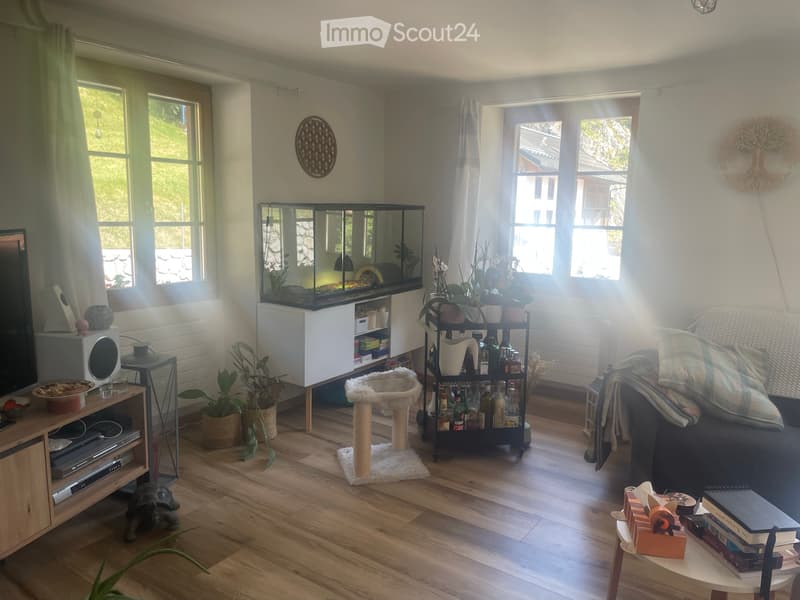 7.5 Zi. Wohnung in Jaun- Appartement de 7.5 pi. à Jaun (2)