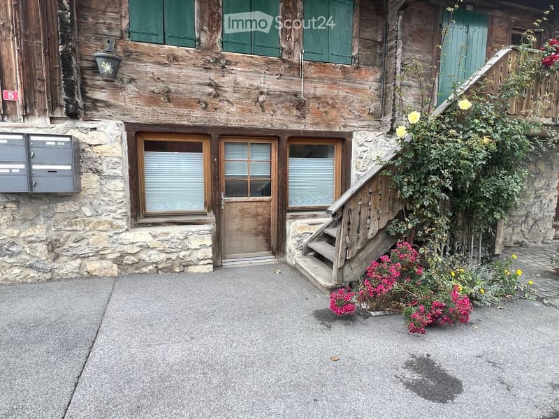Studio meublé a Leysin, Saison d'hiver ou a l'annee (2)