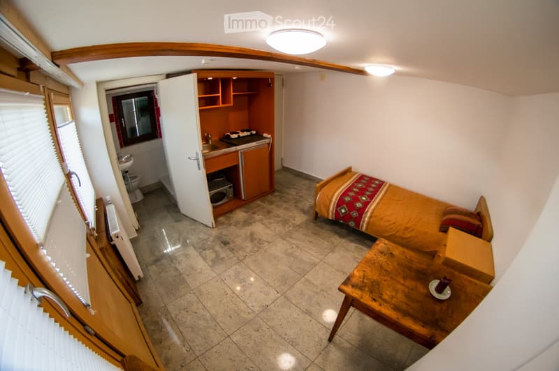 Studio meublé a Leysin, Saison d'hiver ou a l'annee (1)