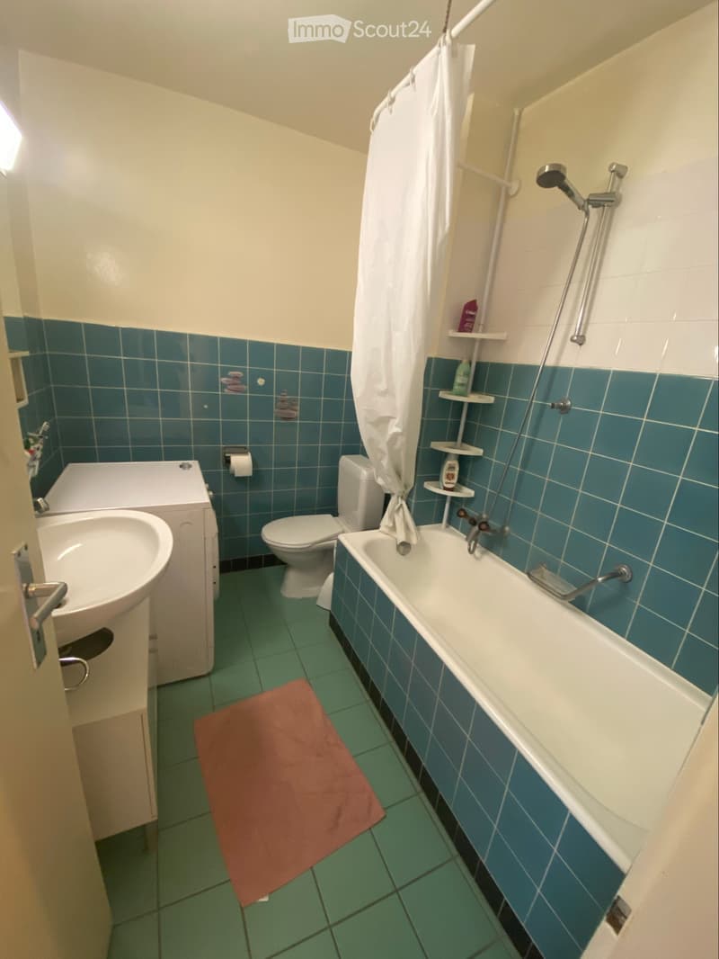 Grande chambre à louer en colocation féminine (5)