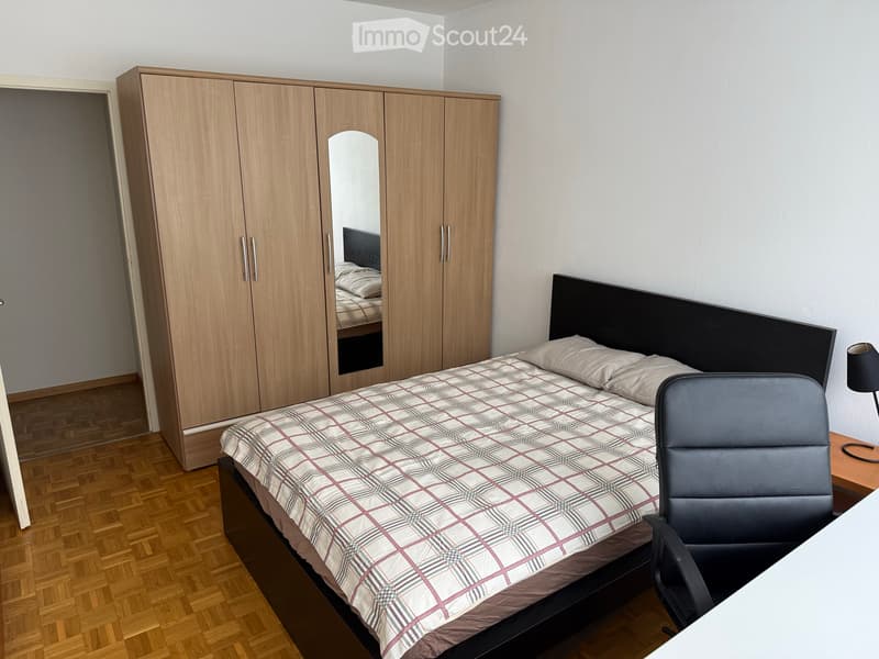 Une Chambre a louer Meyrin/CERN (2)