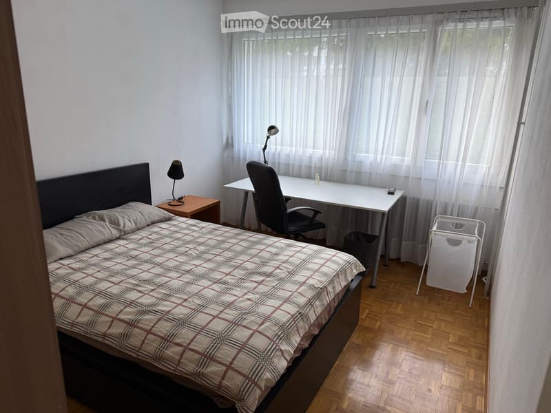 Une Chambre a louer Meyrin/CERN (1)