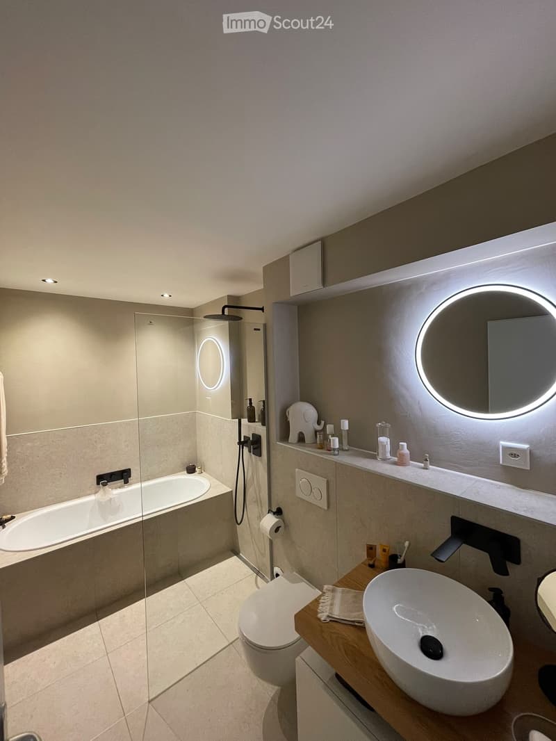 Magnifique Appartement de 2,5 pièces à louer (3)