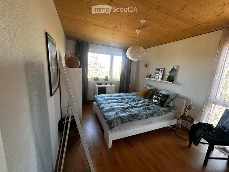 superbe appartement (4)