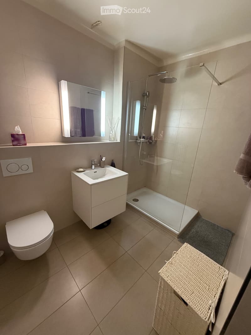 Un appartement de caractère au coeur de Lausanne de 4.5 p. (6)