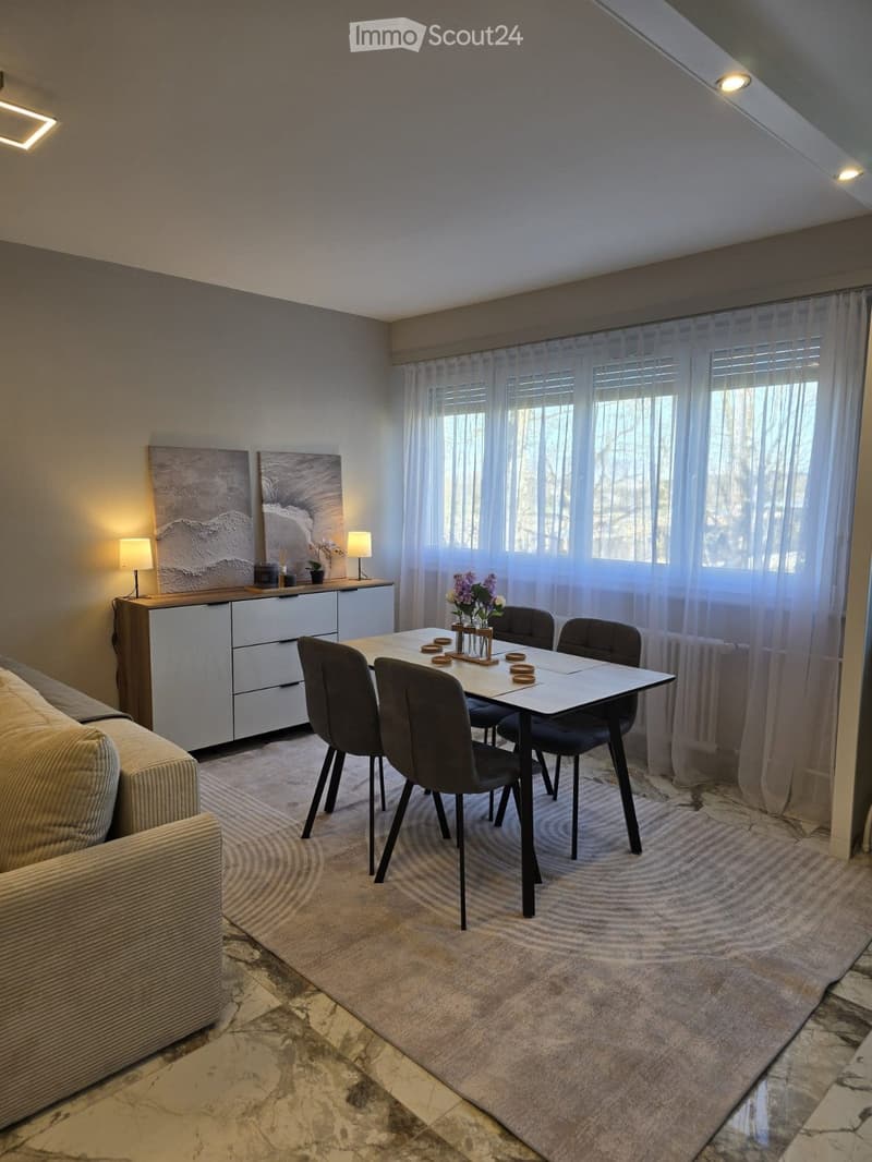 BEL APPARTEMENT 4 PIÈCES MEUBLÉ MEYRIN (2)