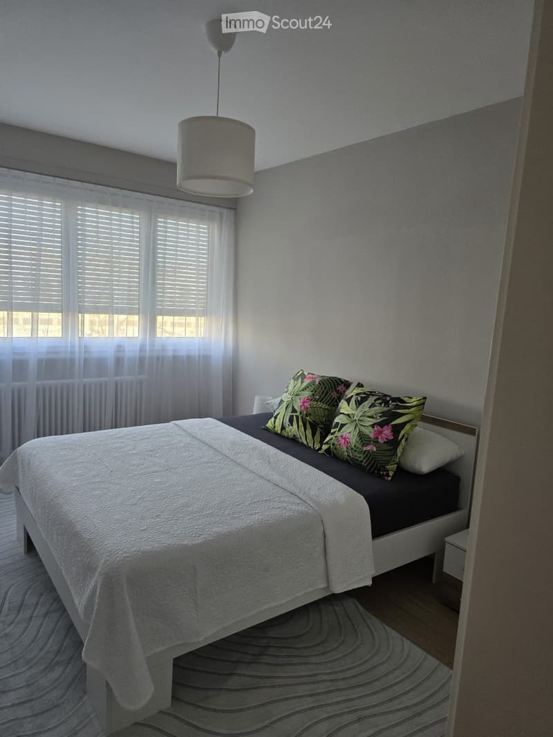 BEL APPARTEMENT 4 PIÈCES MEUBLÉ MEYRIN (5)