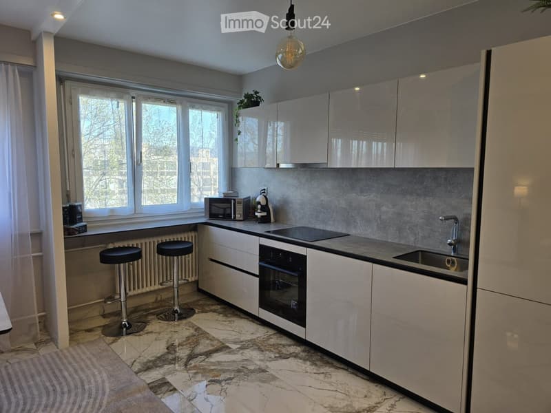 BEL APPARTEMENT 4 PIÈCES MEUBLÉ MEYRIN (4)