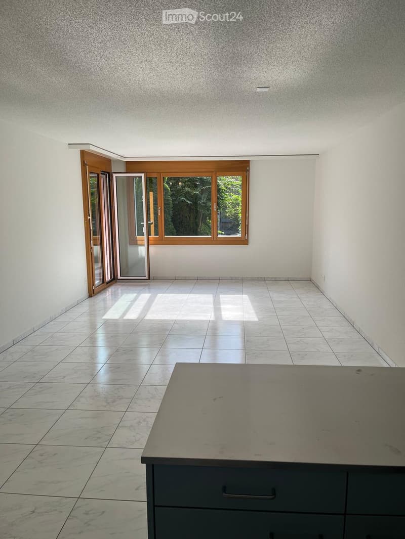 Reizende 2.5-Zimmer-Wohnung mit Terrasse in Dübendorf (2)