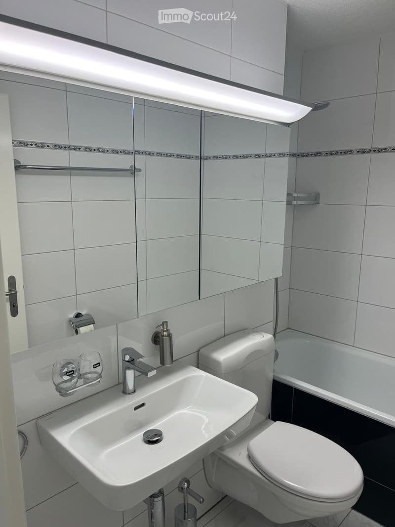 Reizende 2.5-Zimmer-Wohnung mit Terrasse in Dübendorf (5)