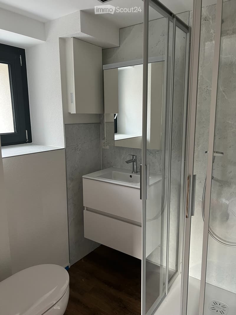 Charmant appartement 2 pièces rénové au 2ème étage (3)