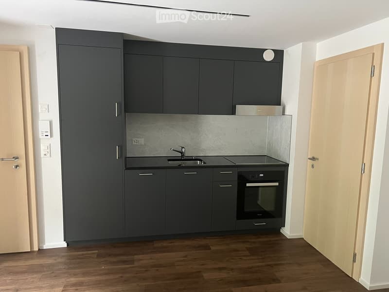 Charmant appartement 2 pièces rénové au 2ème étage (2)