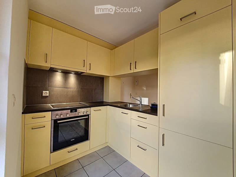 Appartment a louer 1.5p (2)