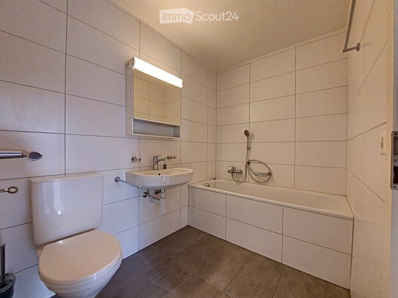 Appartment a louer 1.5p (5)