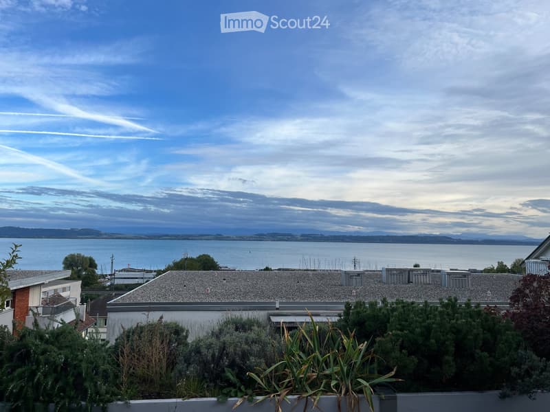 A louer magnifique villa terrasse avec vue lac à Hauterive (1)