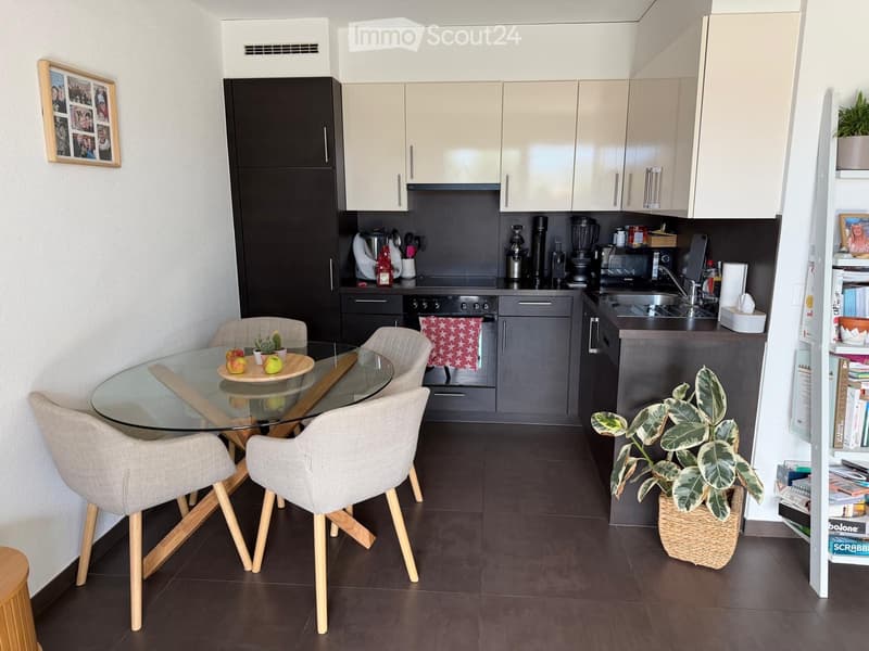 Appartement 3,5 (2)