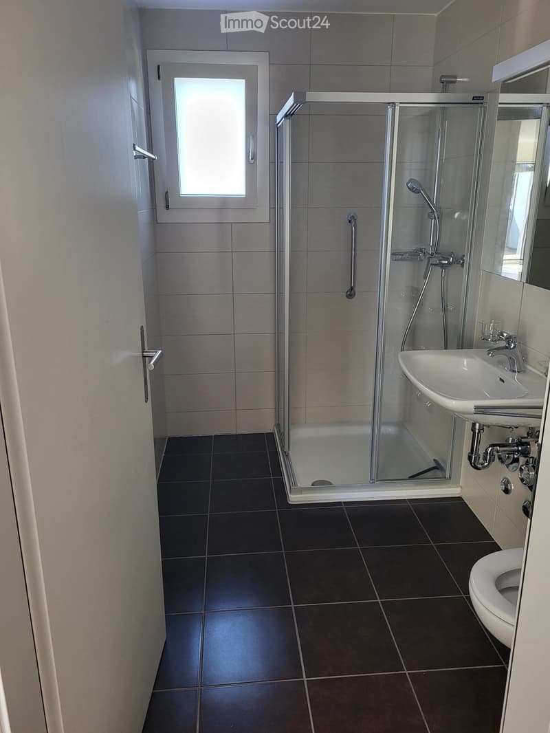 Lumineux appartement en attique de 2,5 pièces à Fribourg (2)