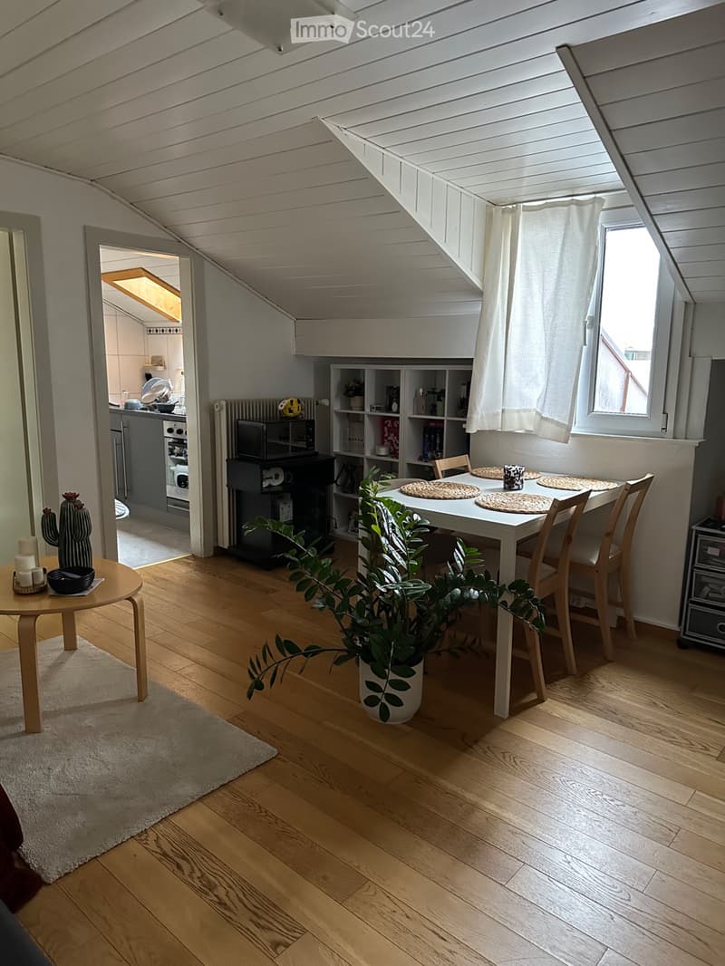 Sion, appartement sous les toits, 100m de la vieille ville (1)