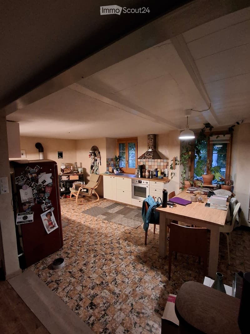Appartement 4.5 pièces avec jardin (8)
