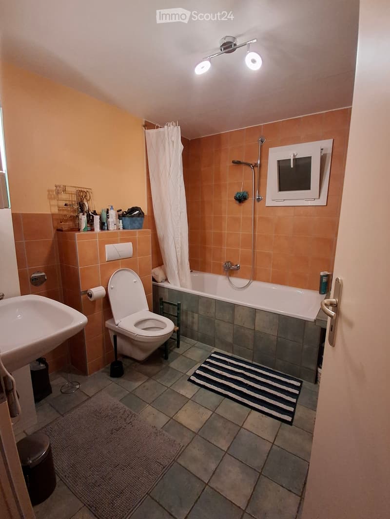 Appartement 4.5 pièces avec jardin (6)
