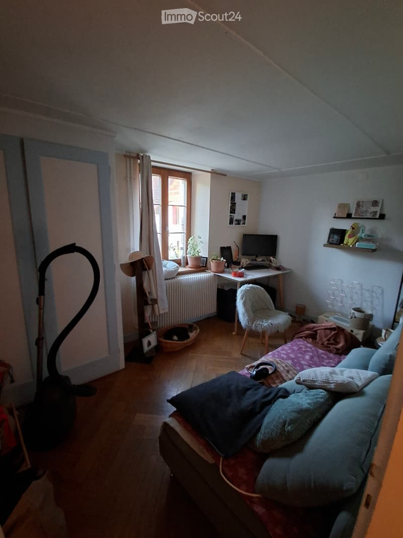 Appartement 4.5 pièces avec jardin (3)