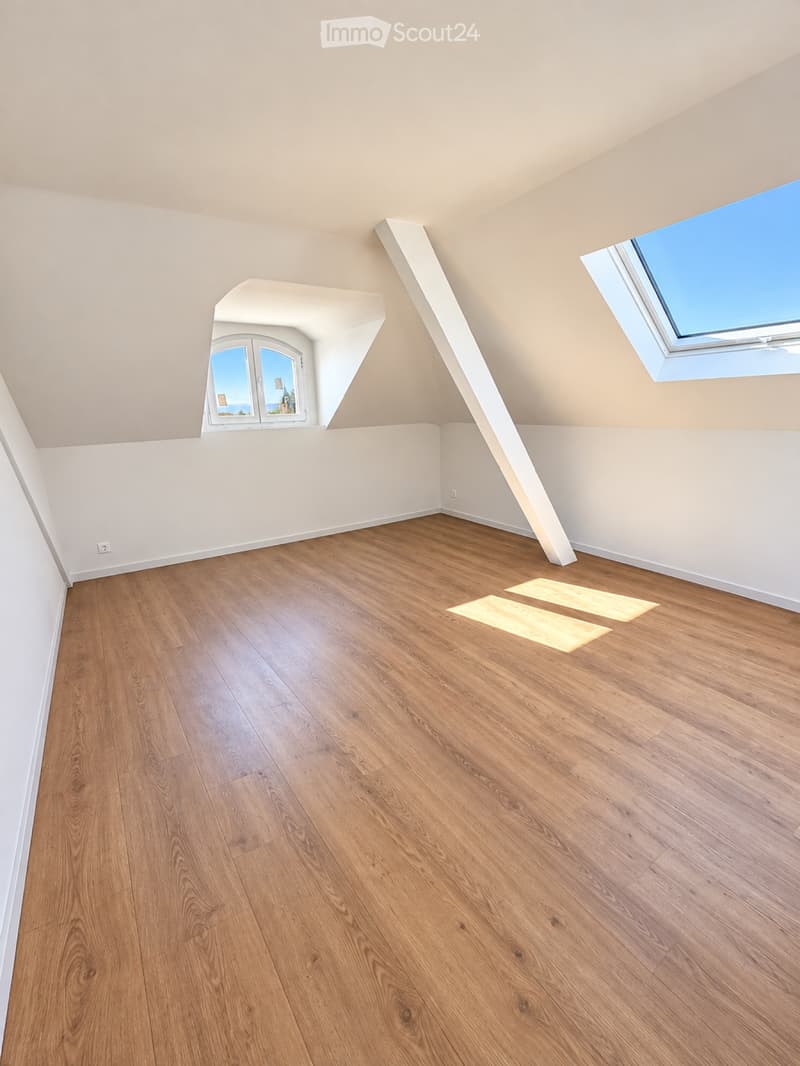 Appartement combles vue sur le lac (2)