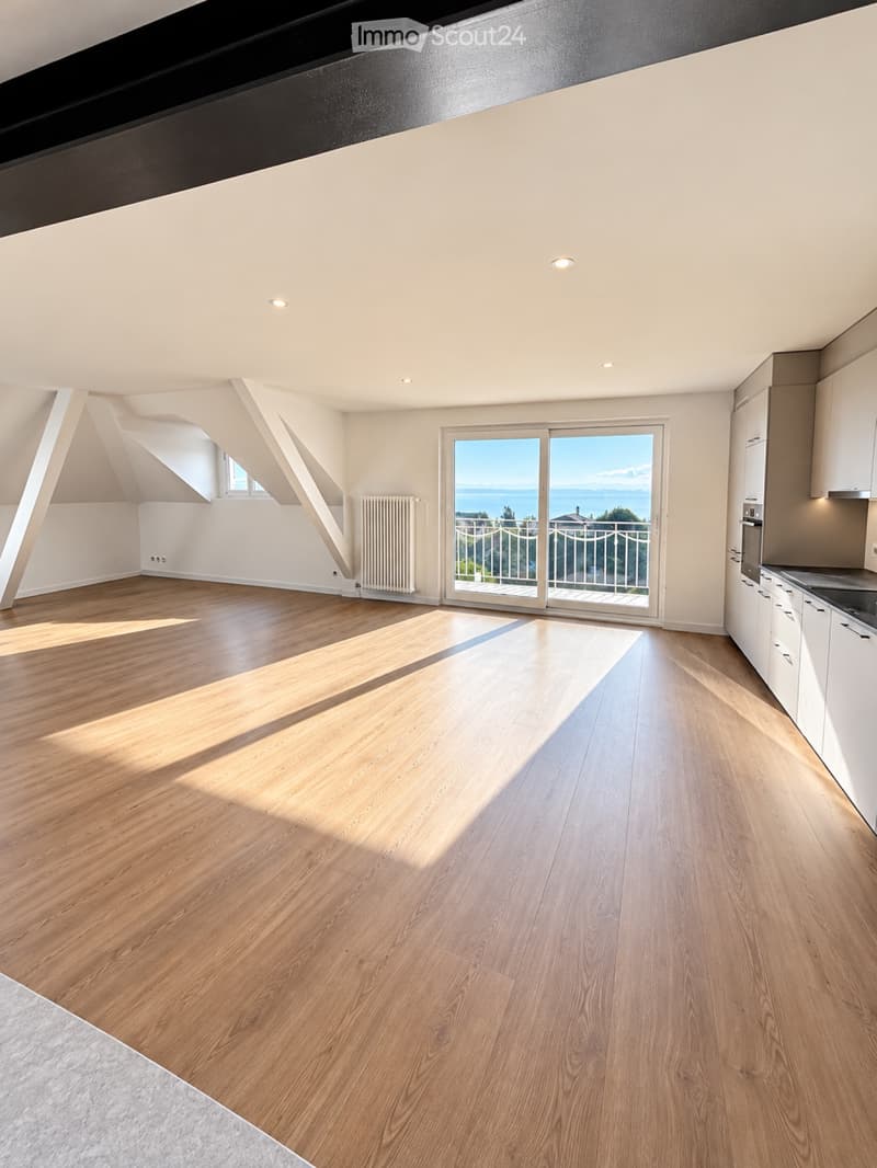 Appartement combles vue sur le lac (1)