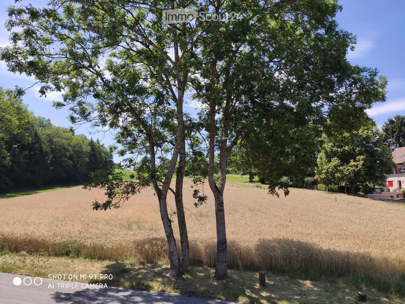 Duplex - 3.5 pièces - 100 m2 (1)