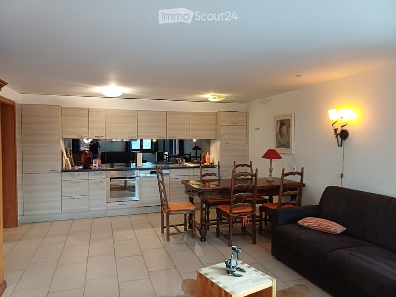 Magnifique appartement de 2p. à louer annuellement dès 05/27 (4)