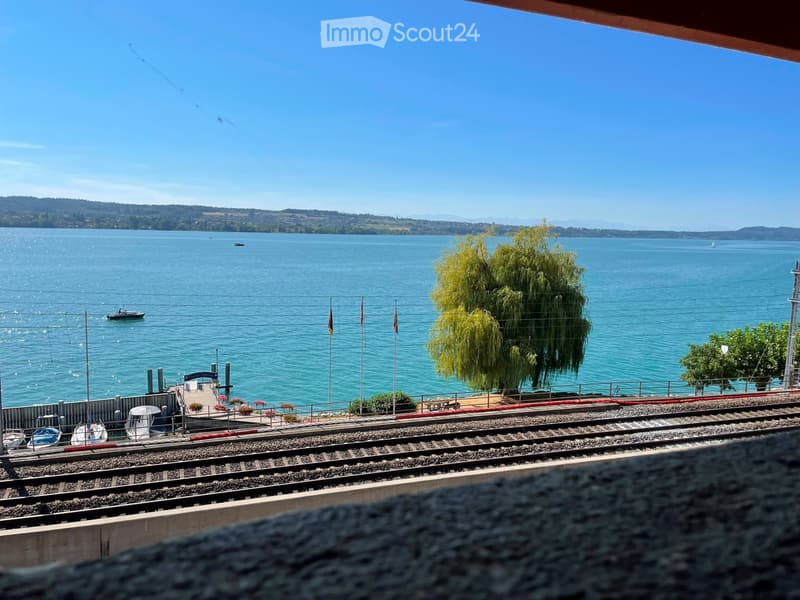 Wohnen am Bielersee! Wohnung mit Seesicht in Tüscherz (5)