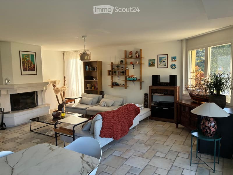 Magnifique appartement à louer (2)