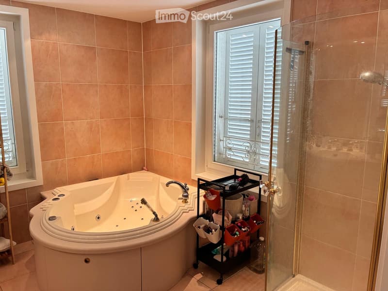 Magnifique appartement à louer (5)