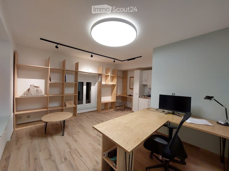 Studio et/ou Espace commercial (3)