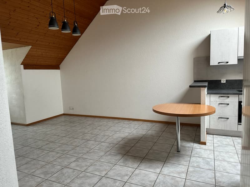 Appartement 2.5 pièces (4)