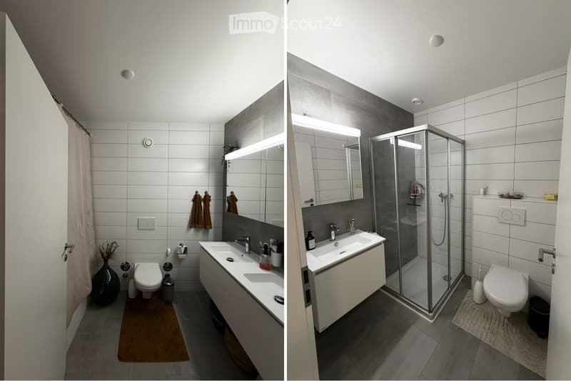 Grand appartement de 3,5 pièces + mezzanine (3)