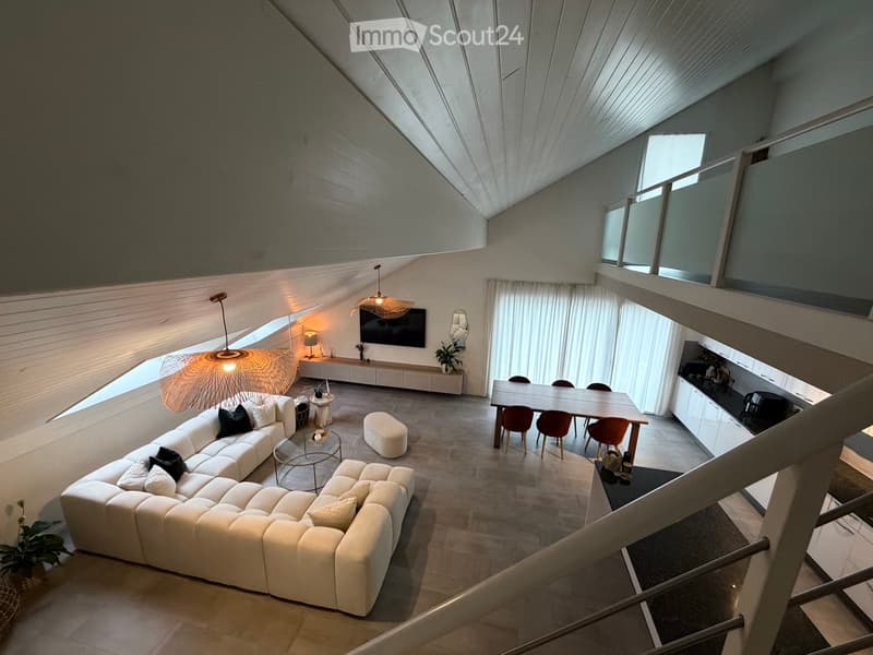 Grand appartement de 3,5 pièces + mezzanine (4)