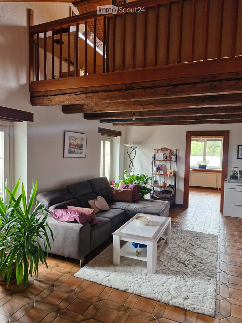 Joli attique de 4,5 pièces avec jardin (4)