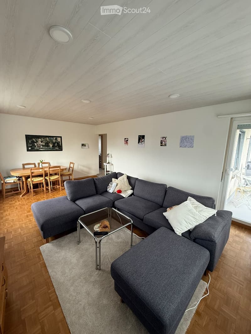 Charmant appartement entièrement rénové (1)