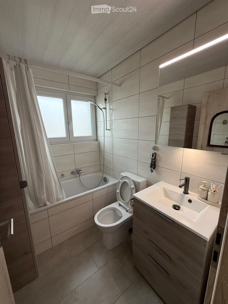 Charmant appartement entièrement rénové (5)