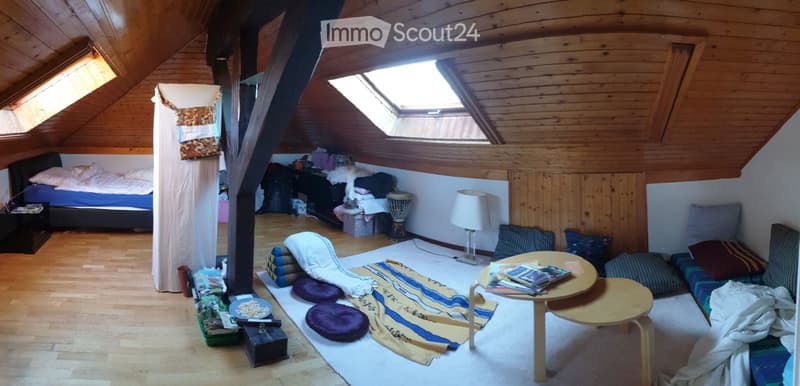 PETIT MAIS BEAU APPARTEMENT - 4 moins sous-location (3)