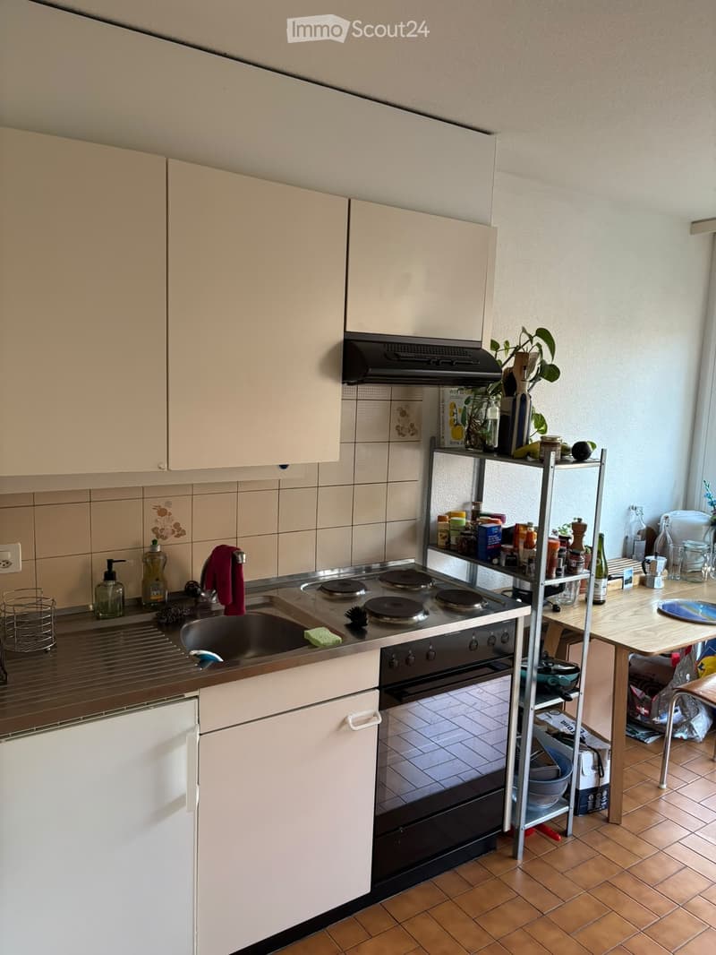 URGENT sous-location - joli 1 pièce à Renens (3)